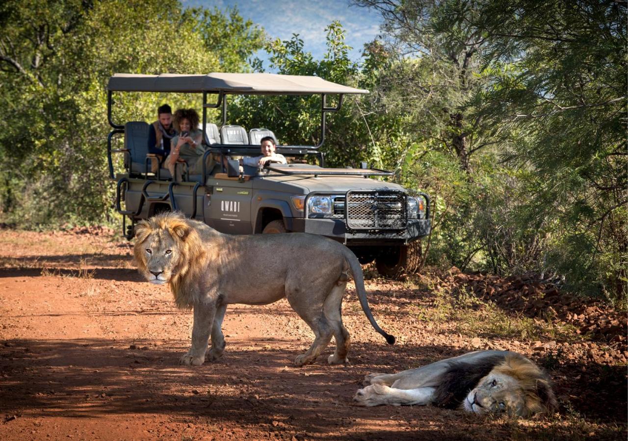 Babohi At Qwabi Private Game Reserve By Newmark Bela-Bela Exteriér fotografie